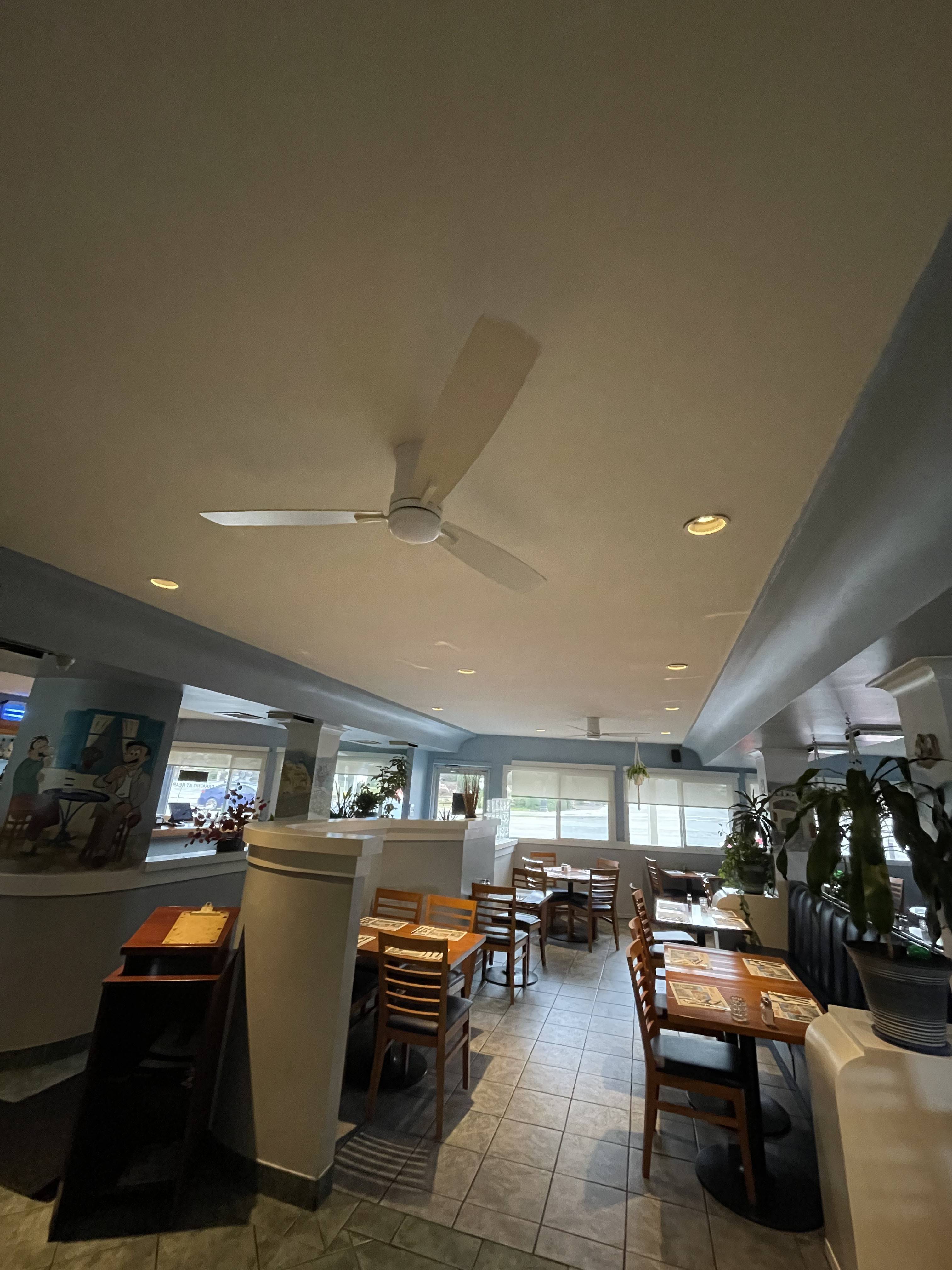 Why Install a Ceiling Fan?